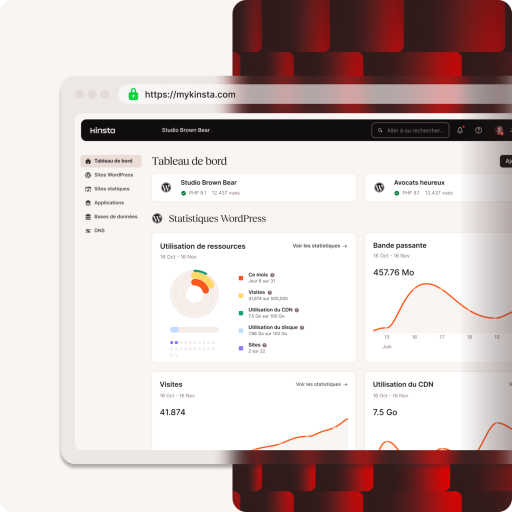 Capture d'écran montrant les services disponibles dans MyKinsta